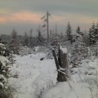 Weihnachten: Sei artig und mach‘ einen Diener