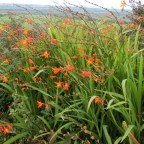 Breathtaking Dingle Peninsula