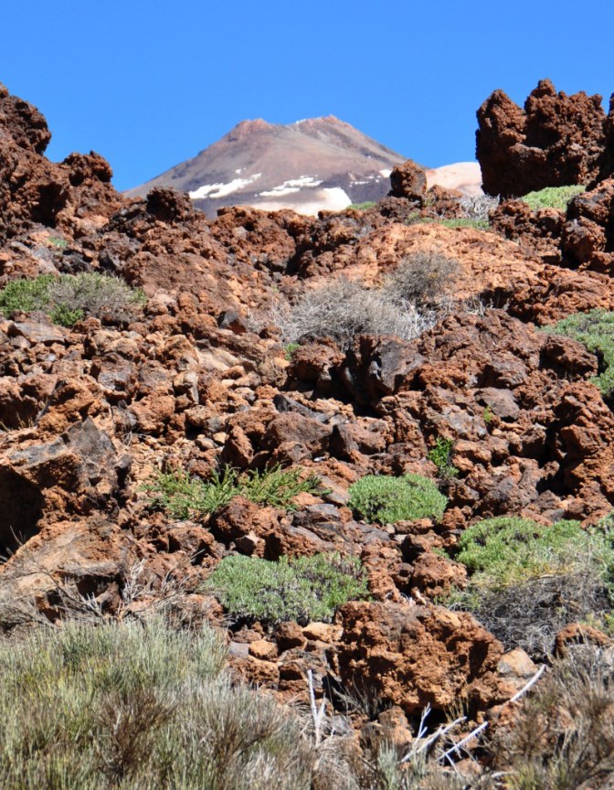 Tenerifa(H) 201.jpgA