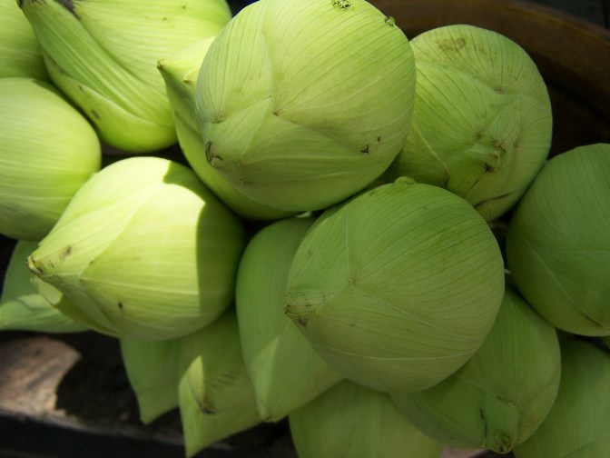 bangkok2007_ayutaya-058