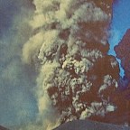 Fridays for Future: In der Schule nicht aufgepasst?