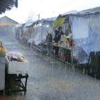 Gibts das : Schnee mitten im Winter?