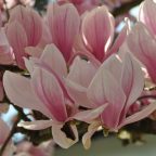 Eine unbequeme Wahrheit